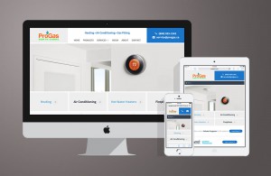 Pro Gas Website Design Visco Design